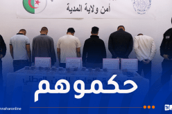 توقيف 7 أشخاص وحجز 4354 كبسولة مهلوسات بالمدية