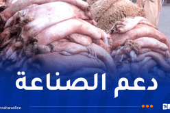عقون: نسعى إلى رفع نسبة استغلال جلود الأضاحي إلى 50 بالمائة