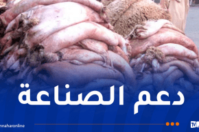 عقون: نسعى إلى رفع نسبة استغلال جلود الأضاحي إلى 50 بالمائة