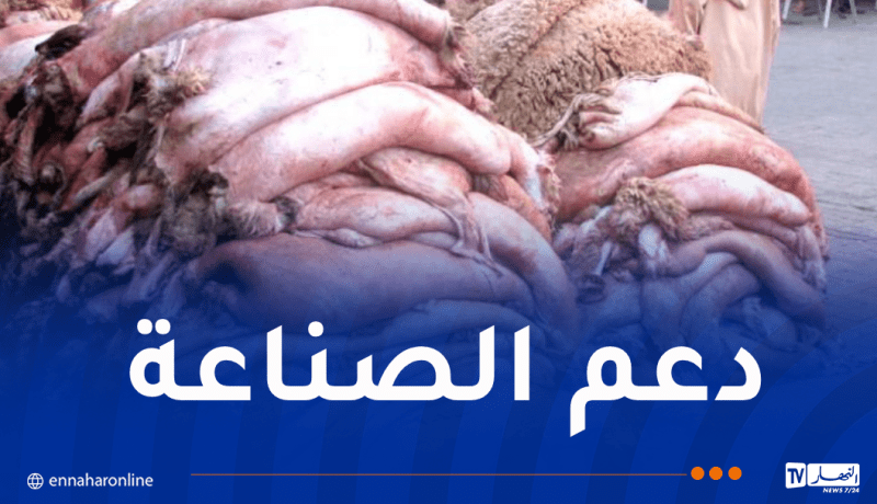 عقون: نسعى إلى رفع نسبة استغلال جلود الأضاحي إلى 50 بالمائة