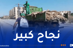 الحملة الوطنية لجمع جلود الأضاحي تحقق نتائج ايجابية