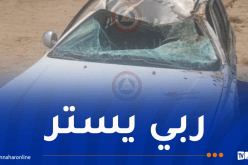 4 ضحايا إثر إصطدام سيارة بجمل في تمنراست