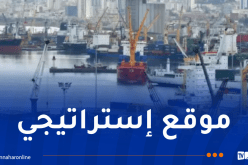 الجزائر محور التكامل الإفريقي