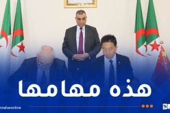 إنشاء شركة مختلطة جزائرية صينية