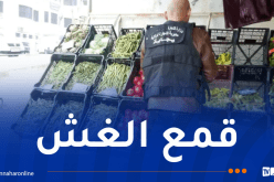 رقابة تجارية.. أزيد من 1.1 مليون تدخل خلال 4 أشهر