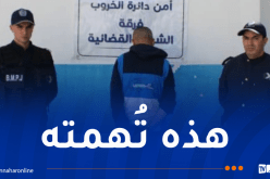 توقيف ناشر مُحتوى على تيك توك