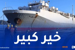باخرة مُحملة بـ13 ألف رأس من الأغنام ترسو بميناء سكيكدة