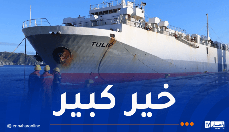 باخرة مُحملة بـ13 ألف رأس من الأغنام ترسو بميناء سكيكدة