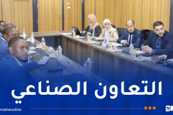 سونلغاز.. إعداد خارطة طريق للمنطقة الصناعية بمابوتو الموزمبيقية