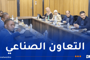 سونلغاز.. إعداد خارطة طريق للمنطقة الصناعية بمابوتو الموزمبيقية