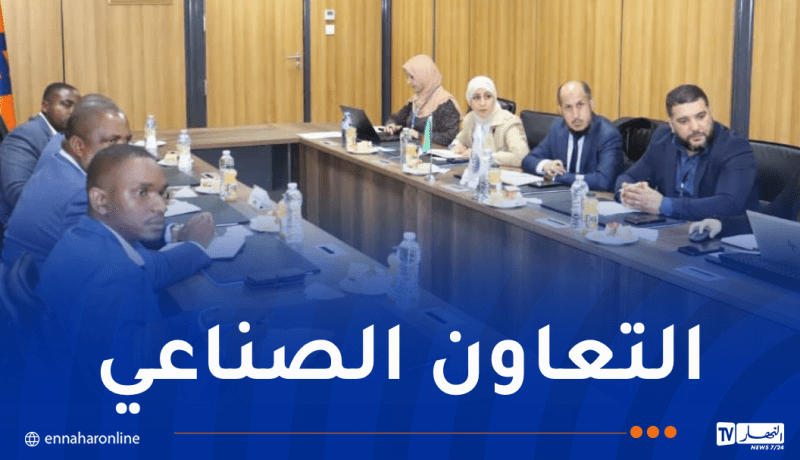 سونلغاز.. إعداد خارطة طريق للمنطقة الصناعية بمابوتو الموزمبيقية