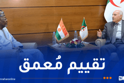 وزير الخارجية يستقبل نظيره النيجري
