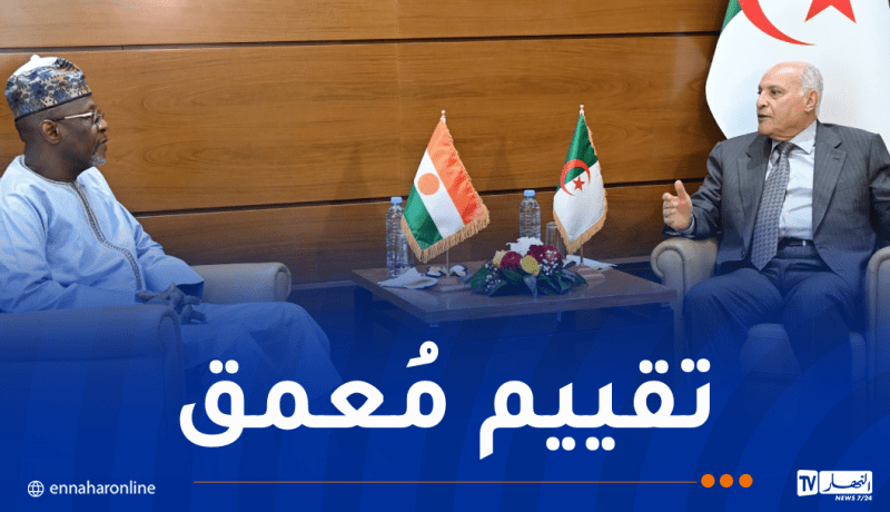 وزير الخارجية يستقبل نظيره النيجري