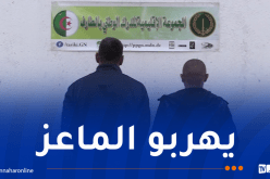 درك الطارف يحبط محاولة تهريب رؤوس ماعز عبر الحدود