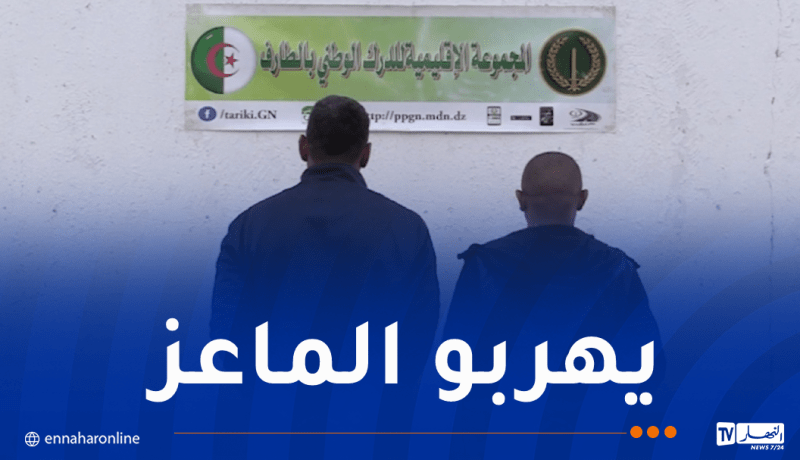 درك الطارف يحبط محاولة تهريب رؤوس ماعز عبر الحدود