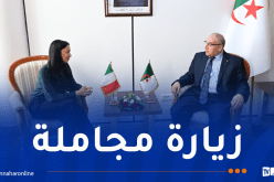 لوناس مقرمان يستقبل السفيرة الإيطالية لدى الجزائر