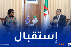 الجزائر تُؤكد استعدادها لمرافقة الكونغو في تطوير قطاع المحروقات