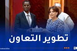 تعاون ثقافي بين الجزائر وتشاد 