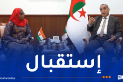 تعزيز الشراكة الجزائرية النيجرية في مجال الطاقة