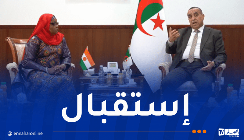 تعزيز الشراكة الجزائرية النيجرية في مجال الطاقة