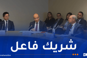 شايب يُؤكد الأهمية التي توليها الدولة لتعزيز الروابط مع جاليتها