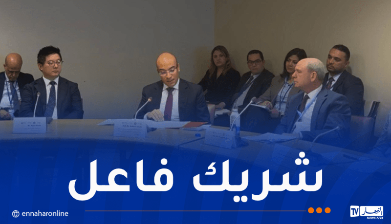 شايب يُؤكد الأهمية التي توليها الدولة لتعزيز الروابط مع جاليتها