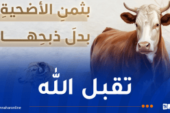 هذا هو حكم التصدق بثمنِ الأضحية بدل ذبحها