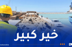 وصول شحنة جديدة من رؤوس الأغنام لميناء تنس