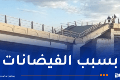 إيفاد لجنة خبرة بعد انهيار دعامة لمنشأة فنية بالمسيلة