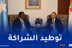 وزير الداخلية يستقبل نظيره الصومالي