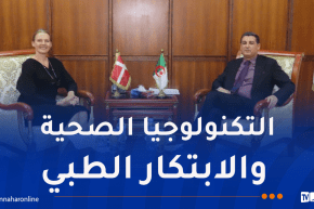 الجزائر والدنمارك.. مشاريع تعاون وشراكة في المجال الصحي