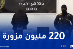 الشلف: الإطاحة بشخص يُزور العملة الوطنية ويطرحها للتداول