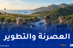وزير الفلاحة يُهنئ عمال قطاعه ويؤكد دعمهم وتحسين ظروف عملهم