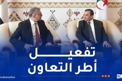وزير البترول والثروة المعدنية المصري في زيارة عمل إلى الجزائر