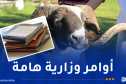 إعانات عيد الأضحى.. الكراريس المستعملة والنشاطات الثقافية محور نقاش وزير التربية