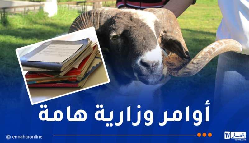 إعانات عيد الأضحى.. الكراريس المستعملة والنشاطات الثقافية محور نقاش وزير التربية