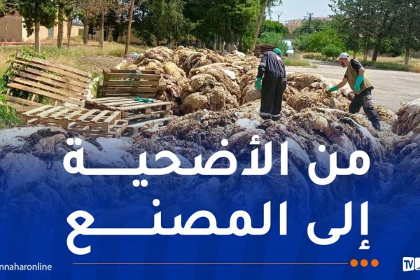انطلاق عملية جمع جلود الأضاحي عبر مختلف ولايات الوطن