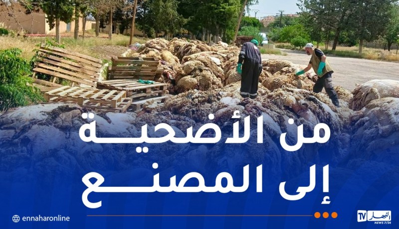 وزارة الصناعة: جلد أضحيتك قيمة لا تهدر
