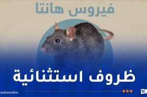 الصحة العالمية..خطر تفشي فيروس “هانتا” بين البشر يبقى نادرًا