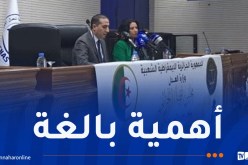 بن بوضياف: “النيابة تتدخل في منازعات الضمان الاجتماعي لحماية حقوق العمّال الأجراء”