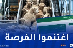 منصة “أضاحي” مفتوحة في هذه الولايات
