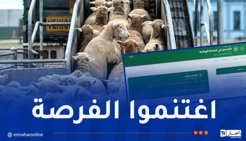 منصة “أضاحي” مفتوحة في هذه الولايات