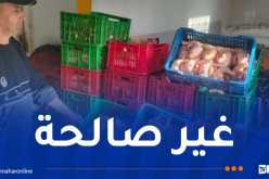 مستغانم..حجز قرابة 10 قناطير من اللحوم البيضاء