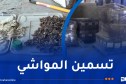 تزامنا مع عيد الأضحى.. شل نشاط مشبوه لورشة إنتاج المنتجات الفلاحية والحيوانية بسطيف