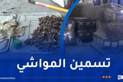 تزامنا مع عيد الأضحى.. شل نشاط مشبوه لورشة إنتاج المنتجات الفلاحية والحيوانية بسطيف