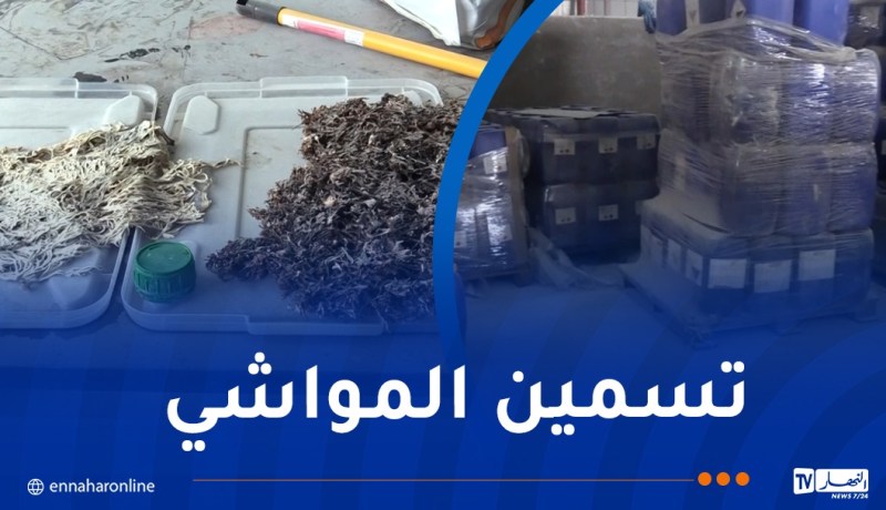تزامنا مع عيد الأضحى.. شل نشاط مشبوه لورشة إنتاج المنتجات الفلاحية والحيوانية بسطيف