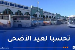عيد الأضحى: 2200 رحلة إضافية لنقل المسافرين عبر مختلف المحطات البرية