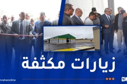 تخزين الحبوب واستقبال المحاصيل الزراعية..تعليمات صارمة من ولاة الجمهورية