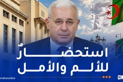 بوغالي: مجازر 8 ماي 1945 ستظل صفحة دامية ووصمة عار