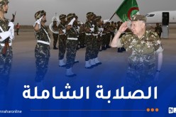 الفريق أول شنقريحة: الجزائر رغم الاضطرابات تظل صلبة وصامدة أمام تأثيراتها المدمرة